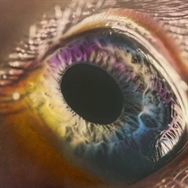 Arcade Fire: We Ltd. (CD)