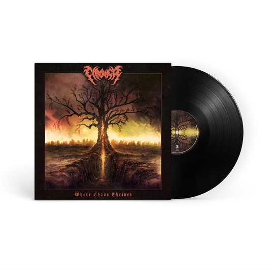 Chronicle - Where Chaos Thrives - Ltd. VINYL