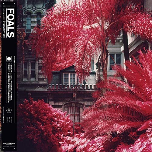 Foals - Everything Not Saved Will Be Lost (Vinyl)