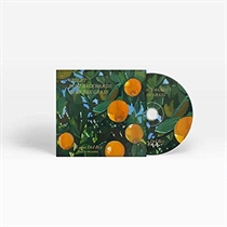LANA DEL REY - VIOLET BENT BACKWARDS OVER THE GRASS (CD)