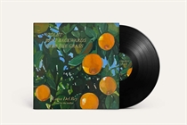 Del Rey, Lana: Violet Bent Backwards Over The Grass (Vinyl)