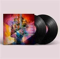 Pink: Hurts 2B Human (2xVinyl)