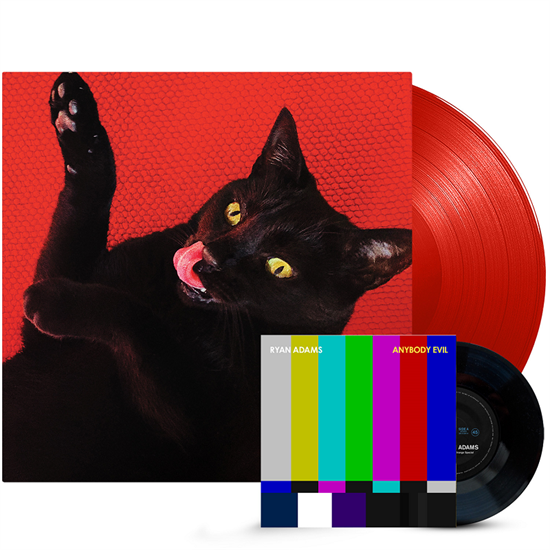 Adams, Ryan: Big Colors (Vinyl)