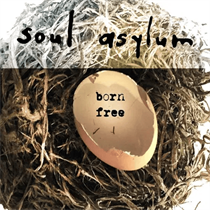 Soul Asylum - Born Free (10inch Vinyl)