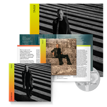 STING - THE BRIDGE (CD)