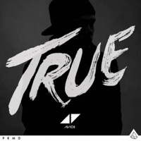 Avicii: True (CD)