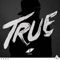 Avicii: True (2xVinyl)