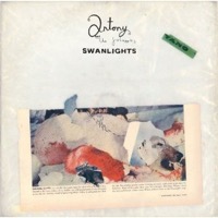 Antony And The Johnsons: Swanlights