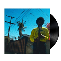 Andre 3000 - Moving Day - Vinyl 