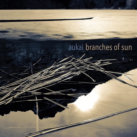 Aukai: Branches Of Sun (Vinyl)