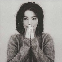 Björk: Debut (Vinyl)