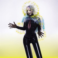 Björk: Vulnicura (2xVinyl)