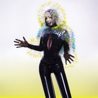 Björk: Vulnicura