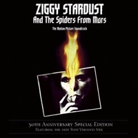 Bowie, David: The Rise and Fall of Ziggy Stardust and the Spiders from Mars Soundtrack (Vinyl)