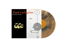 Bad Religion: The Process Of Belief (Vinyl)
