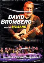 Bromberg, David - In Concert