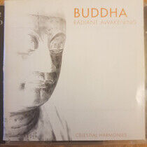 V/A - Buddha-Transcending...