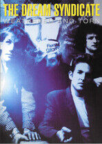 Dream Syndicate - Weathered & Thorn