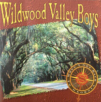 Wildwood Valley Boys - When I Go Back To Georgia