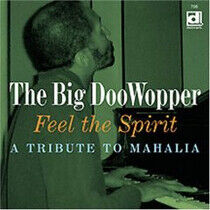 Big Doowopper - Feel the Spirit