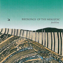 Birdsongs of the Mesozoic - Faultline