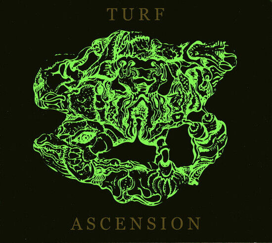 Bubblemath - Turf Ascension