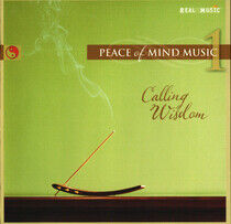V/A - Peace of Mind Music 1