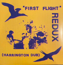 Forsyth, Chris - First Flight Redux..