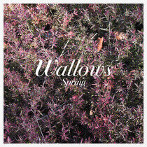 Wallows - Spring -Coloured-