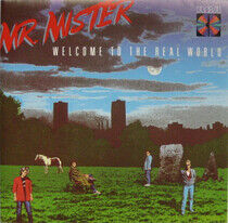Mr. Mister - Welcome To the Real World