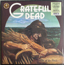 Grateful Dead - Wake of the.. -Annivers-