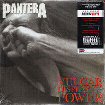 Pantera - Vulgar Display of Power..