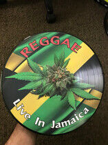 V/A - Reggae: Live In Jamaica