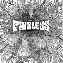 Paisleys - Cosmic Mind.. -Reissue-