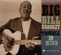 Broonzy, Big Bill - Trouble In Mind