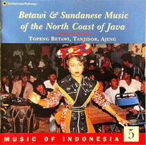 V/A - Music of Indonesia 5