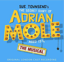 Musical - Sue Townsend's the..