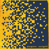 Pinegrove - Marigold -Coloured-
