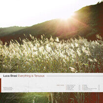 Brasi, Luca - Everything is Tenuous