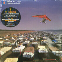 Pink Floyd - A Momentary Lapse of..