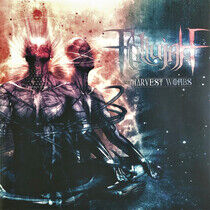 Fallujah - Harvest Wombs