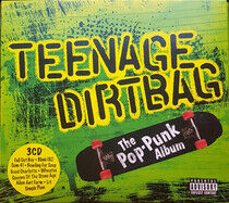 V/A - Teenage Dirtbag: the..