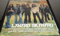 Lynyrd Skynyrd - Icon