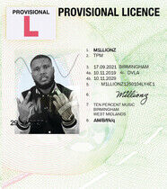 M1llionz - Provisional Licence