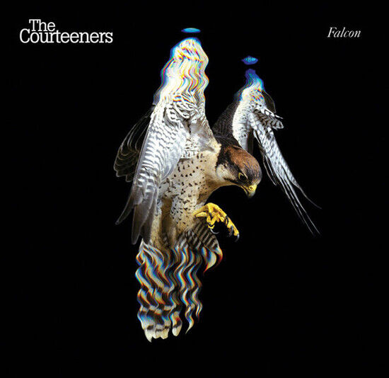 Courteeners - Falcon