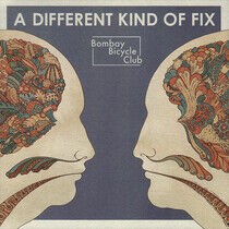 Bombay Bicycle Club - A Different Kind of Fix
