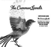 Common Linnets - Common Linnets -Spec-