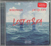 Birdman - Lost At Sea