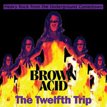 V/A - Brown Acid: the Twelfth..