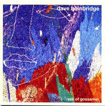 Bainbridge, Dave - Veil of Gossamer